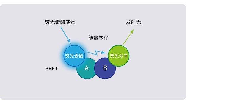 奥盛仪器